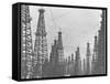 Mass of Oil Derricks at Spindletop Oil Field-null-Framed Stretched Canvas