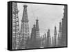 Mass of Oil Derricks at Spindletop Oil Field-null-Framed Stretched Canvas