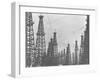 Mass of Oil Derricks at Spindletop Oil Field-null-Framed Photographic Print