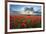 Mass of red poppies growing in field in Lambourn Valley at sunset-Stuart Black-Framed Photographic Print