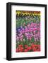 Mass Plantings of Tulips in Keukenhof Gardens-Darrell Gulin-Framed Photographic Print