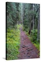 Massachusetts Appalachian Trail Photo Print Poster-null-Stretched Canvas