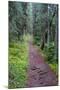 Massachusetts Appalachian Trail Photo Print Poster-null-Mounted Poster