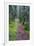 Massachusetts Appalachian Trail-null-Framed Photo