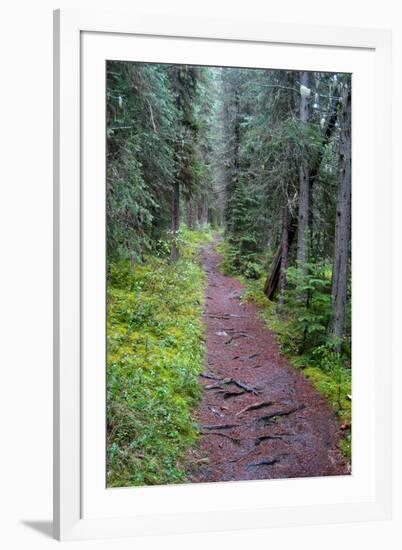 Massachusetts Appalachian Trail-null-Framed Photo