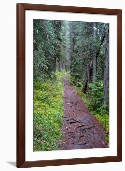 Massachusetts Appalachian Trail-null-Framed Photo