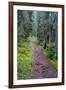 Massachusetts Appalachian Trail-null-Framed Photo