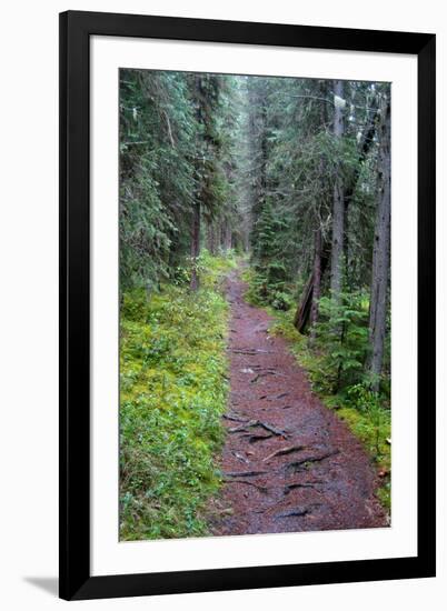 Massachusetts Appalachian Trail-null-Framed Photo