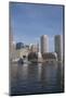 Massachusetts, Boston. Skyline and Waterfront Area View from Fan Pier-Cindy Miller Hopkins-Mounted Photographic Print