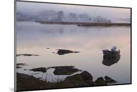 Massachusetts, Cape Ann, Gloucester, Annisquam, Autumn Morning-Walter Bibikow-Mounted Photographic Print