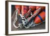 Massachusetts, Cape Ann, Rockport, Lobster Buoys-Walter Bibikow-Framed Photographic Print