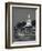 Massachusetts, Cape Ann, Rockport, Town View from Front Beach, USA-Walter Bibikow-Framed Photographic Print