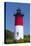 Massachusetts, Cape Cod, Eastham, Nauset Light, Lighthouse-Walter Bibikow-Stretched Canvas