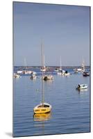 Massachusetts, Cape Cod, Provincetown, the West End, Boats-Walter Bibikow-Mounted Premium Photographic Print