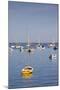Massachusetts, Cape Cod, Provincetown, the West End, Boats-Walter Bibikow-Mounted Premium Photographic Print
