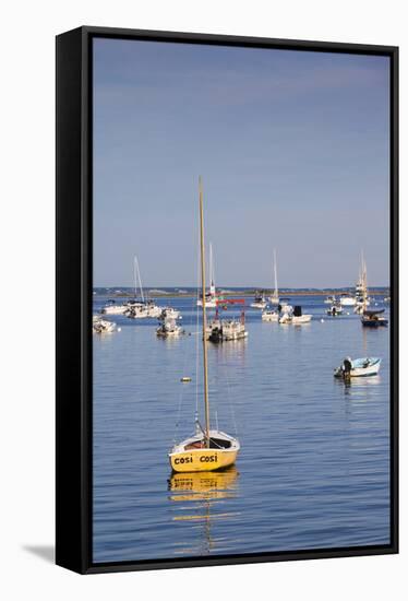 Massachusetts, Cape Cod, Provincetown, the West End, Boats-Walter Bibikow-Framed Stretched Canvas