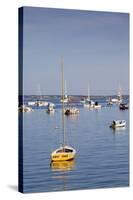 Massachusetts, Cape Cod, Provincetown, the West End, Boats-Walter Bibikow-Stretched Canvas