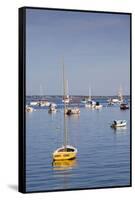 Massachusetts, Cape Cod, Provincetown, the West End, Boats-Walter Bibikow-Framed Stretched Canvas