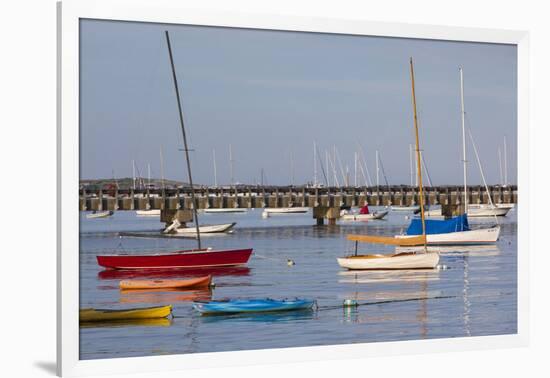 Massachusetts, Cape Cod, Provincetown, the West End, Boats-Walter Bibikow-Framed Photographic Print
