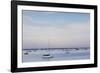 Massachusetts, Cape Cod, Provincetown, the West End, Boats-Walter Bibikow-Framed Photographic Print