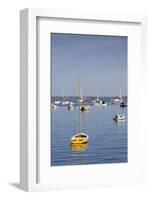 Massachusetts, Cape Cod, Provincetown, the West End, Boats-Walter Bibikow-Framed Photographic Print