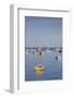 Massachusetts, Cape Cod, Provincetown, the West End, Boats-Walter Bibikow-Framed Photographic Print