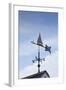 Massachusetts, Cape Cod, Provincetown, the West End, Weather Vane-Walter Bibikow-Framed Photographic Print