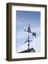 Massachusetts, Cape Cod, Provincetown, the West End, Weather Vane-Walter Bibikow-Framed Photographic Print