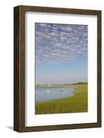 Massachusetts, Cape Cod, Wellfleet, View of the Gut by Great Island-Walter Bibikow-Framed Photographic Print