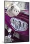 Massachusetts, Gloucester, Antique Car Show, Fuzzy Dice-Walter Bibikow-Mounted Photographic Print