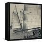 Massachusetts, Gloucester, Schooner Festival, Sail Boats-Walter Bibikow-Framed Stretched Canvas