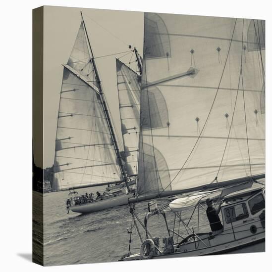 Massachusetts, Gloucester, Schooner Festival, Sail Boats-Walter Bibikow-Stretched Canvas