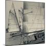 Massachusetts, Gloucester, Schooner Festival, Sail Boats-Walter Bibikow-Mounted Photographic Print