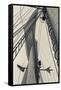 Massachusetts, Gloucester, Schooner Festival, Sailing Ship Lookout-Walter Bibikow-Framed Stretched Canvas