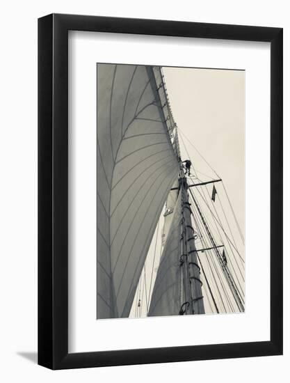 Massachusetts, Gloucester, Schooner Festival, Sailing Ship Lookout-Walter Bibikow-Framed Photographic Print