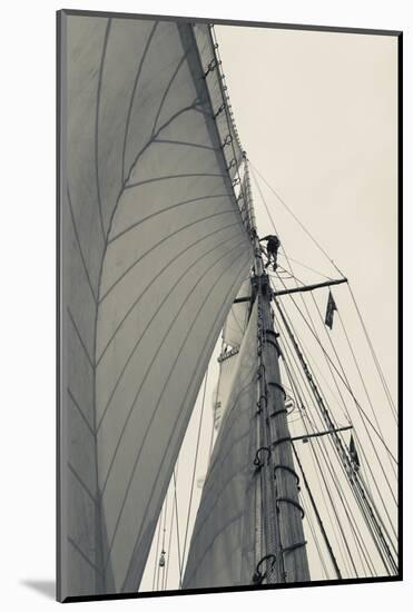 Massachusetts, Gloucester, Schooner Festival, Sailing Ship Lookout-Walter Bibikow-Mounted Photographic Print