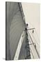 Massachusetts, Gloucester, Schooner Festival, Sailing Ship Lookout-Walter Bibikow-Stretched Canvas