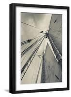 Massachusetts, Gloucester, Schooner Festival, Sails and Masts-Walter Bibikow-Framed Premium Photographic Print