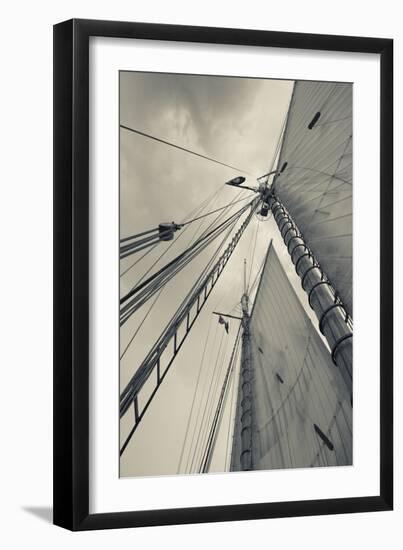 Massachusetts, Gloucester, Schooner Festival, Sails and Masts-Walter Bibikow-Framed Premium Photographic Print