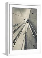 Massachusetts, Gloucester, Schooner Festival, Sails and Masts-Walter Bibikow-Framed Photographic Print