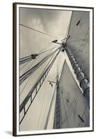 Massachusetts, Gloucester, Schooner Festival, Sails and Masts-Walter Bibikow-Framed Premium Photographic Print