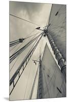 Massachusetts, Gloucester, Schooner Festival, Sails and Masts-Walter Bibikow-Mounted Premium Photographic Print