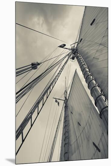 Massachusetts, Gloucester, Schooner Festival, Sails and Masts-Walter Bibikow-Mounted Premium Photographic Print