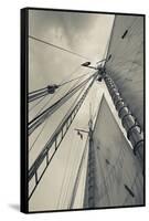 Massachusetts, Gloucester, Schooner Festival, Sails and Masts-Walter Bibikow-Framed Stretched Canvas