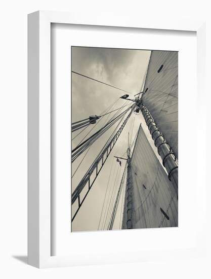 Massachusetts, Gloucester, Schooner Festival, Sails and Masts-Walter Bibikow-Framed Photographic Print