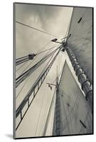 Massachusetts, Gloucester, Schooner Festival, Sails and Masts-Walter Bibikow-Mounted Photographic Print