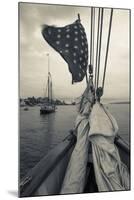 Massachusetts, Gloucester, Schooner Festival, the Schooner Virginia-Walter Bibikow-Mounted Photographic Print