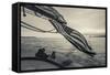 Massachusetts, Gloucester, Schooner Festival, the Schooner Virginia-Walter Bibikow-Framed Stretched Canvas