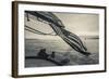 Massachusetts, Gloucester, Schooner Festival, the Schooner Virginia-Walter Bibikow-Framed Photographic Print