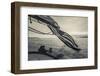 Massachusetts, Gloucester, Schooner Festival, the Schooner Virginia-Walter Bibikow-Framed Photographic Print